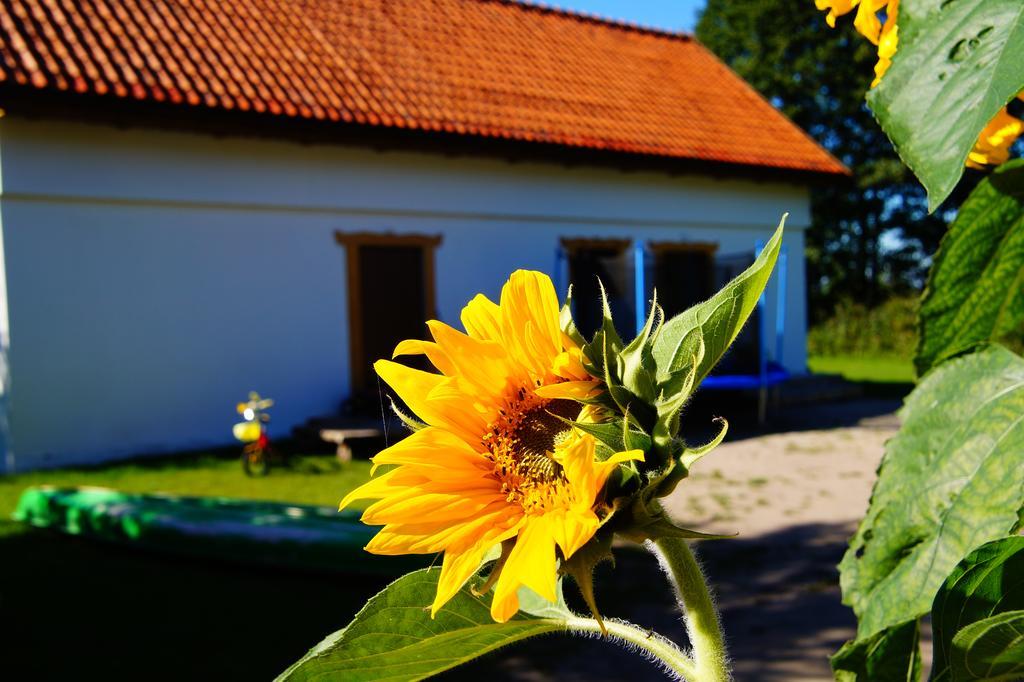 Rybaczowka Luknajno Villa Mikołajki Eksteriør billede